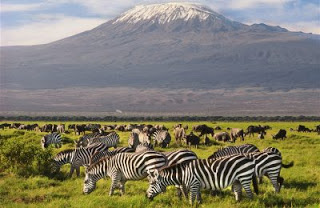 African safari vacation packages