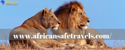 African safari packages