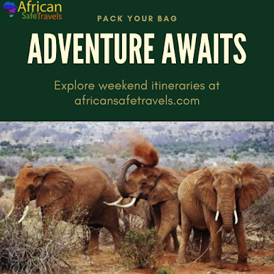 African safari packages