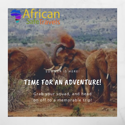 African safari packages 