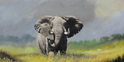 Volunteer and travel in Africa